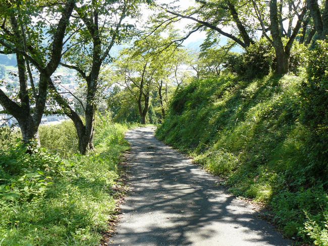 �O������