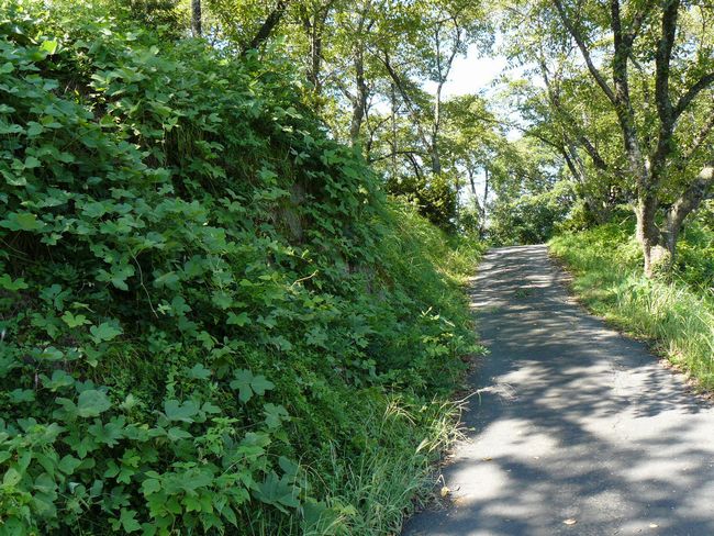 �O������