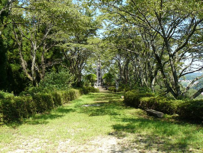 �O������