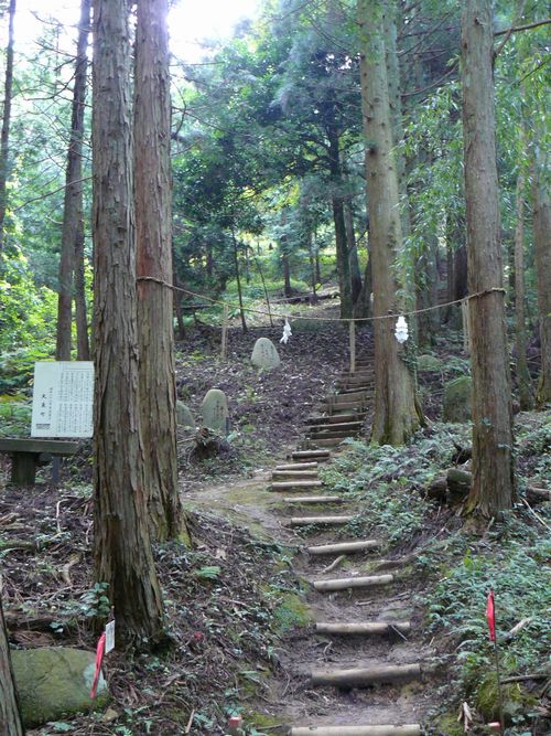 �{��_�Љ��{