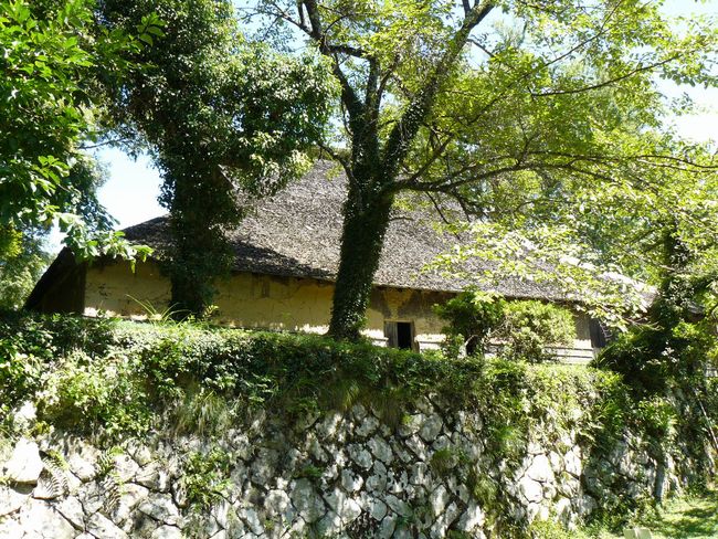 ���J�����獂�a