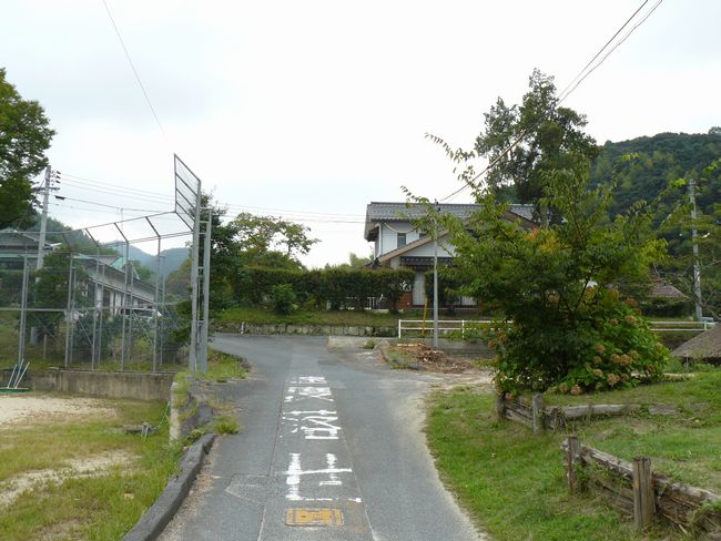 �L���w��