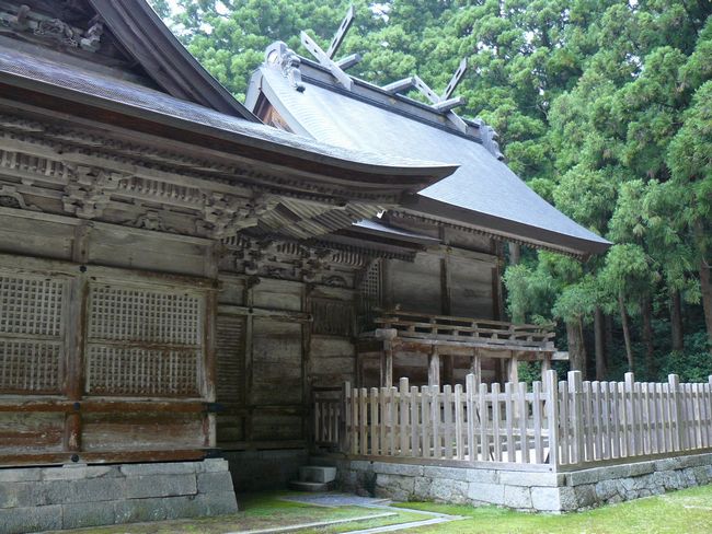 �����q�_��