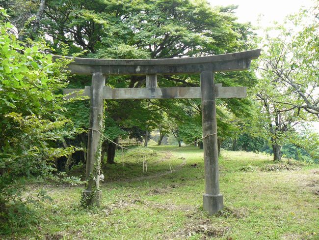 ��������_��