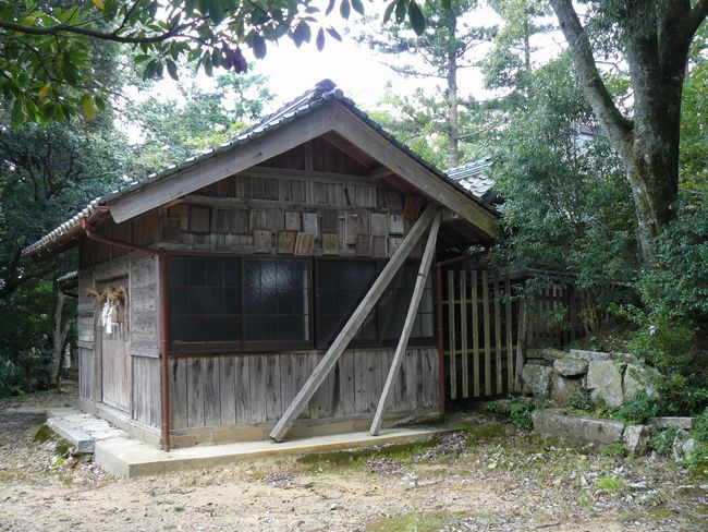 ��������_��