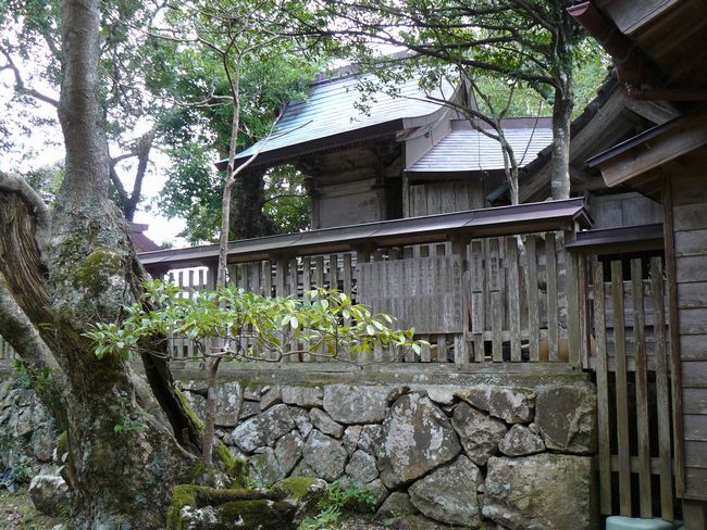 ��������_��