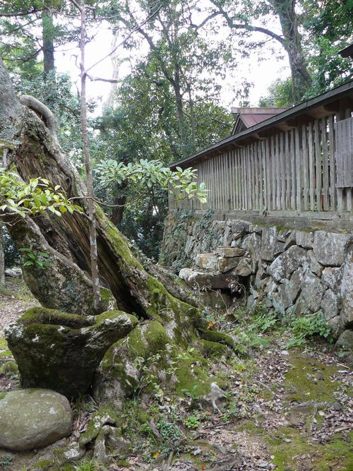 ��������_��