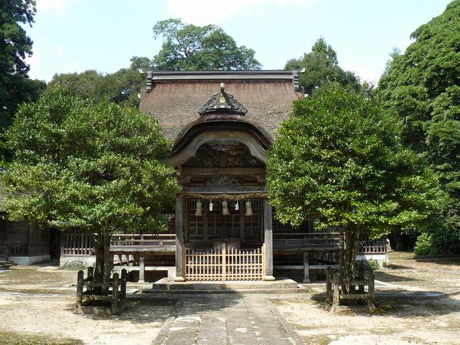 �x�c�����{