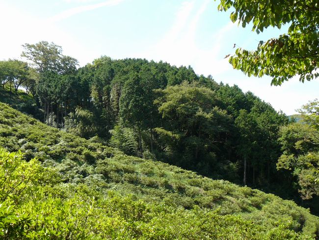 ���R�P����