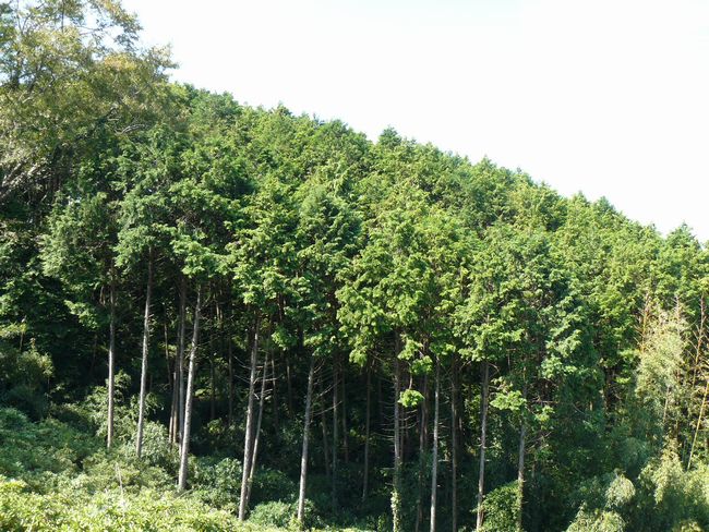 ���R�P����