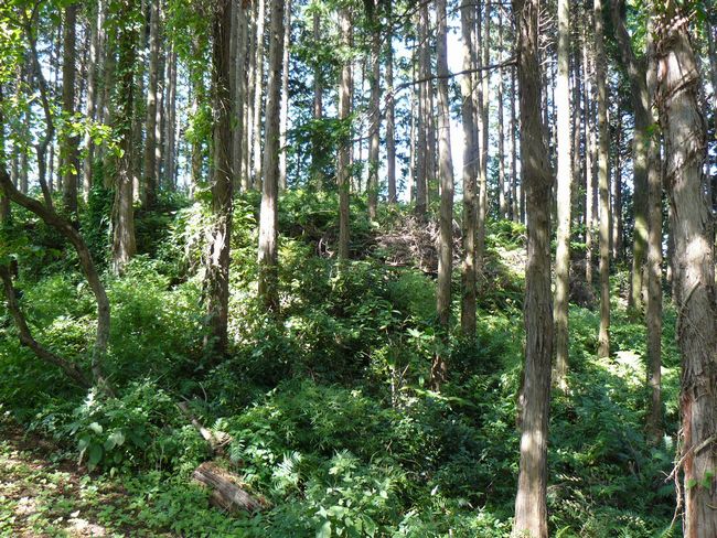 ���R�P����