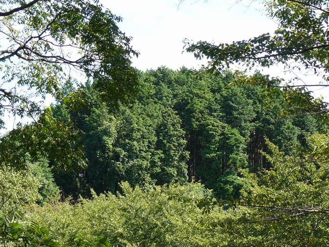 ���R�P����