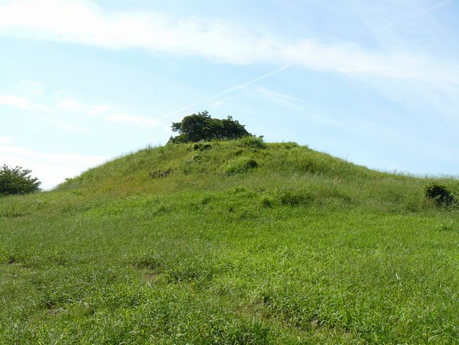 ���R�Q����