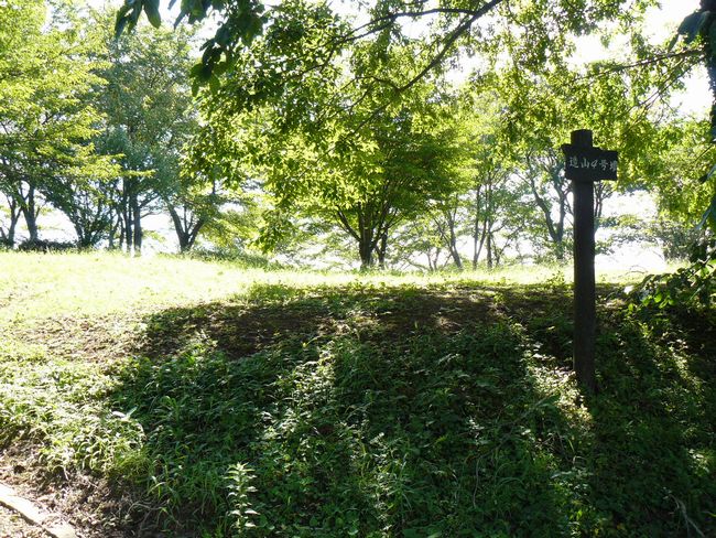 ���R�S����