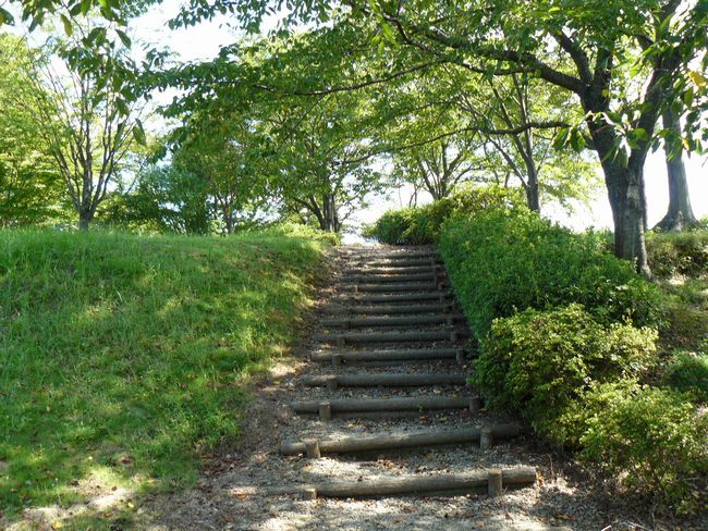 ���R�S����